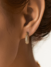 Load image into Gallery viewer, Joleen 18K Gold Non-Tarnish Glam Cz Hoop Earring
